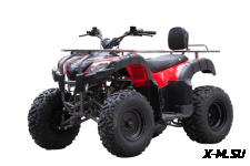 Квадроцикл UNIVERSAL Bull 200