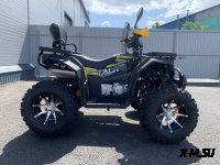Квадроцикл PROMAX TAURUS 300 MAX-PRO