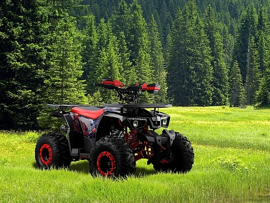 Квадроцикл PROMAX WILD 190 PRO-LINE