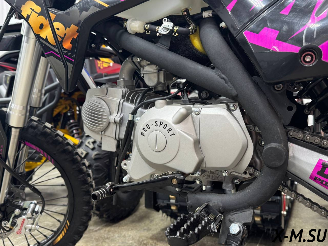 Мотоцикл (питбайк) PROMAX FIDET (ФАЙДЕТ) 190E PRO 17/14